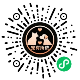 叮叮宠物小程序码